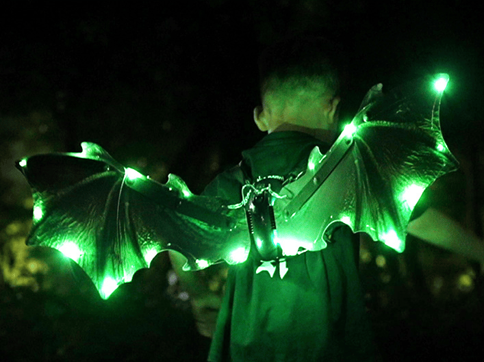Halloween Butterfly & Dinosaur LED Wings Dress Up