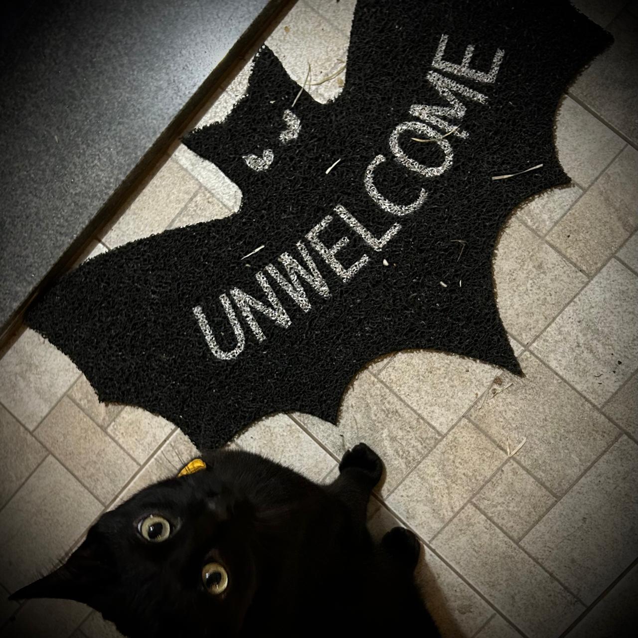 Bat Welcome (or Not) Mat